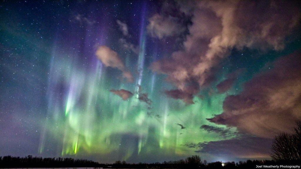 Blue and Purple Auroras